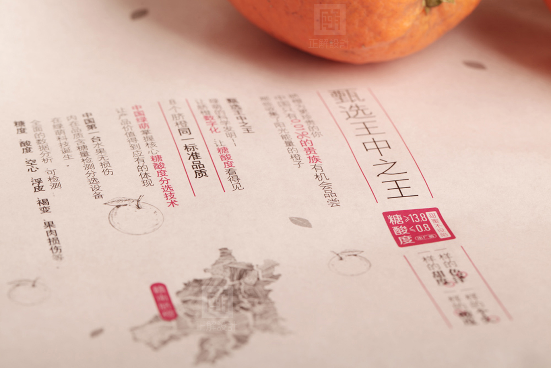 绿萌8个橙子包装设计