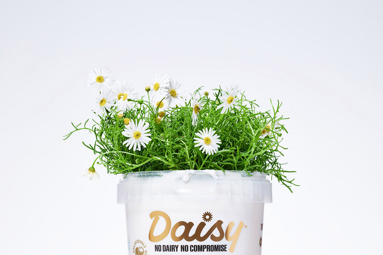 onfire-design-daisy-packaging-design-branding-auckland-4 (1).jpg